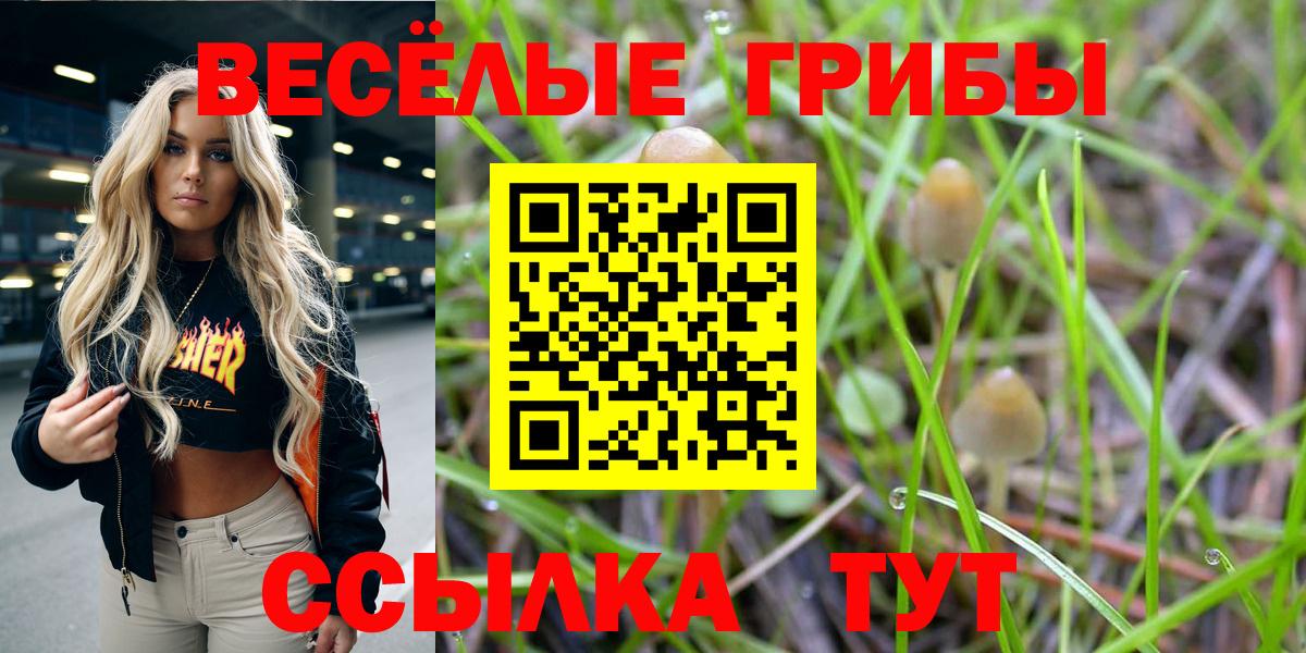 Галлюциногенные грибы мицелий Сердобск